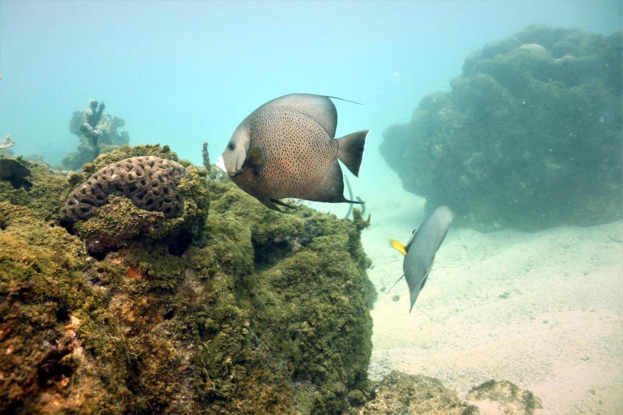 PAUL CASA DE PRAIA & NEMO DIVE, CENTRO DE MERGULHO SANTA CRUZ CABRALIA